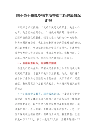 国企关于违规吃喝专项整治工作进展情况汇报