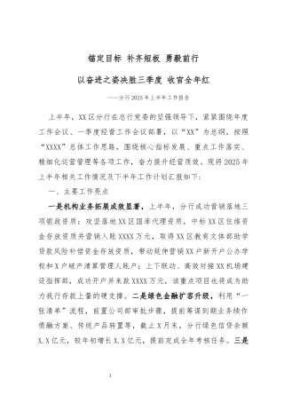 分行2025年上半年工作报告