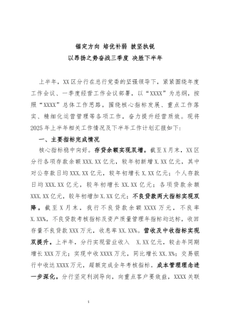 分行2025年上半年工作总结及下半年工作计划