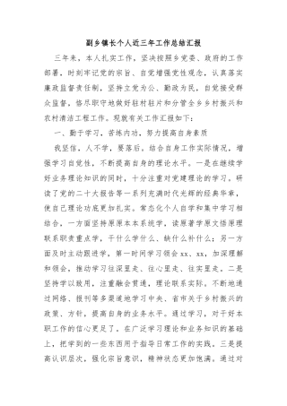 副乡镇长个人近三年工作总结汇报