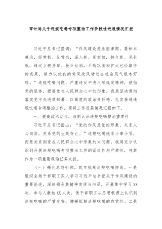 审计局关于违规吃喝专项整治工作阶段性进展情况汇报