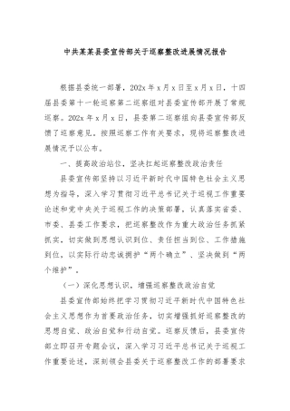 中共某某县委宣传部关于巡察整改进展情况报告