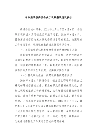 中共某某镇委员会关于巡察整改情况报告