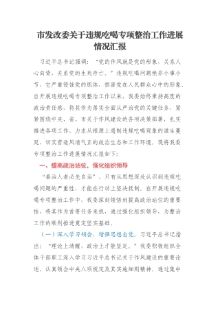 市发改委关于违规吃喝专项整治工作进展情况汇报