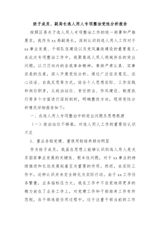 班子成员、副局长选人用人专项整治党性分析报告
