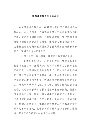 某某镇专题工作总结报告