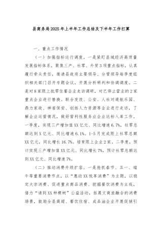 县商务局2025年上半年工作总结及下半年工作打算