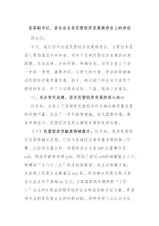 县委副书记、县长在全县民营经济发展推进会上的讲话