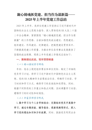 凝心铸魂抓党建，担当作为谋新篇——2025年上半年党建工作总结