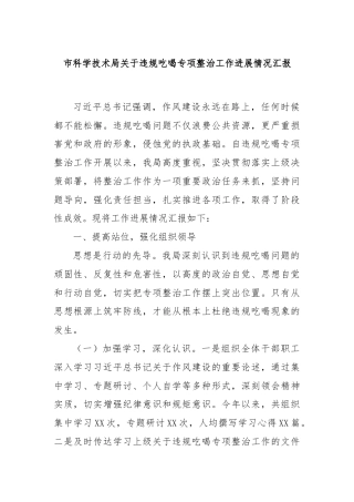 市科学技术局关于违规吃喝专项整治工作进展情况汇报