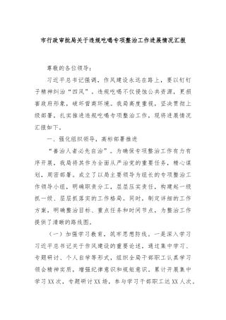 市行政审批局关于违规吃喝专项整治工作进展情况汇报