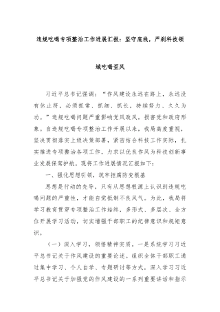 违规吃喝专项整治工作进展汇报：坚守底线，严刹科技领域吃喝歪风