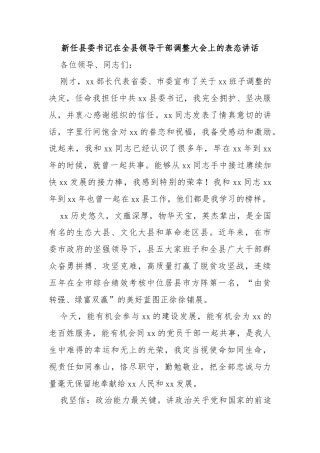 新任县委书记在全县领导干部调整大会上的表态讲话