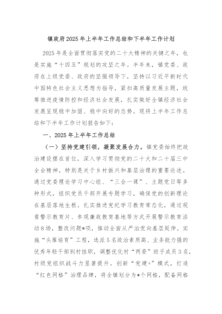 镇政府2025年上半年工作总结和下半年工作计划