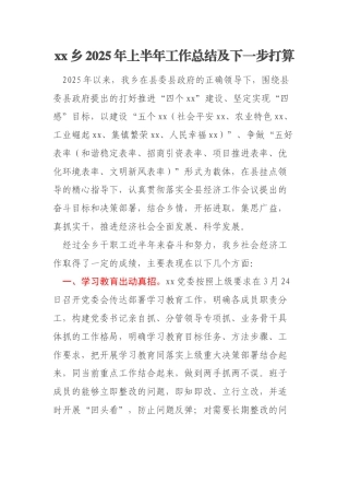 xx乡2025年上半年工作总结及下一步打算