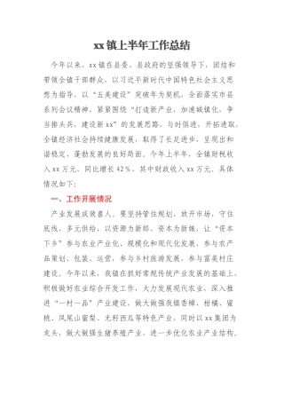 xx镇上半年工作总结