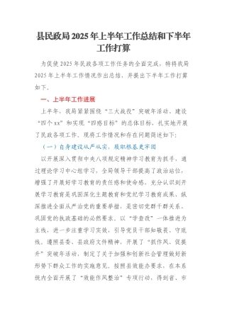 县民政局2025年上半年工作总结和下半年工作打算