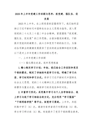 2025年上半年党建工作回顾与思考：抓党建、强队伍、促发展