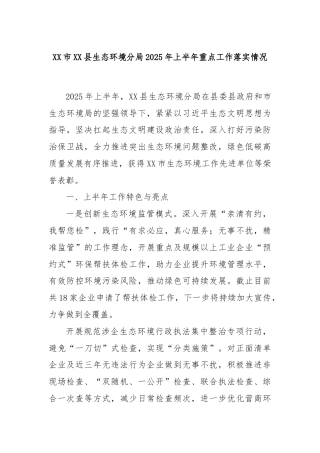 XX市XX县生态环境分局2025年上半年重点工作落实情况