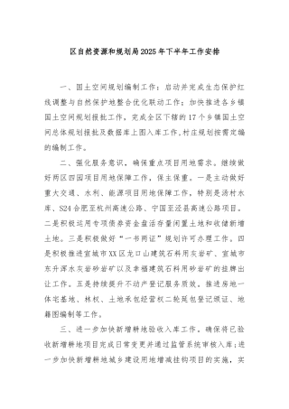 区自然资源和规划局2025年下半年工作安排