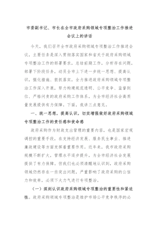 市委副书记、市长在全市政府采购领域专项整治工作推进会议上的讲话