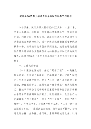 统计局2025年上半年工作总结和下半年工作计划