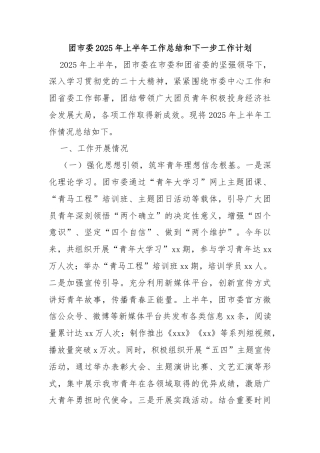 团市委2025年上半年工作总结和下一步工作计划