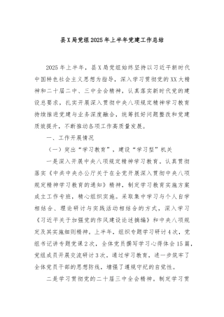 县X局党组2025年上半年党建工作总结