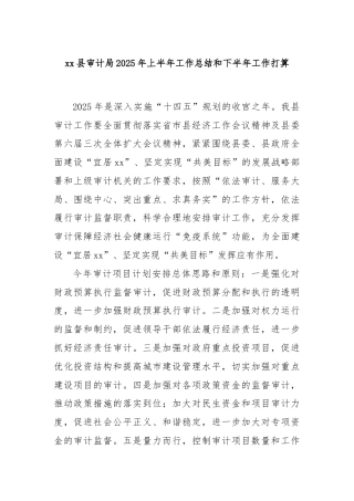 xx县审计局2025年上半年工作总结和下半年工作打算