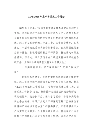 XX镇2025年上半年党建工作总结
