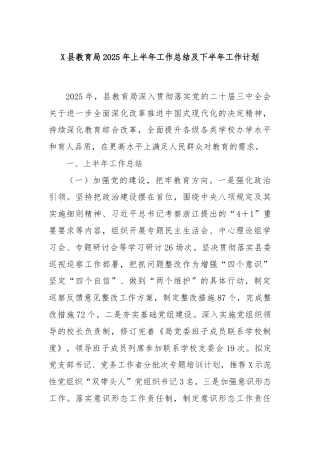 X县教育局2025年上半年工作总结及下半年工作计划