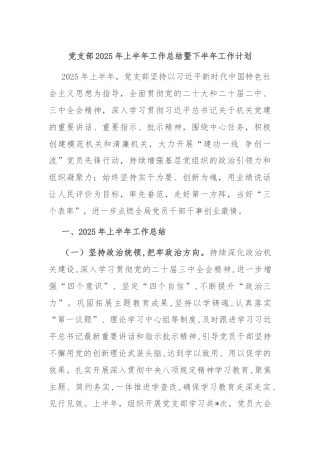 党支部2025年上半年工作总结暨下半年工作计划