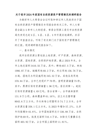 关于我市2024年度国有自然资源资产管理情况的调研报告
