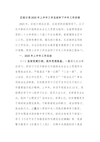 区统计局2025年上半年工作总结和下半年工作安排