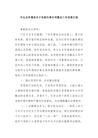市生态环境局关于违规吃喝专项整治工作进展汇报