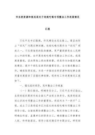 市自然资源和规划局关于违规吃喝专项整治工作进展情况汇报