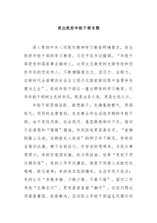 突出抓好年轻干部专题