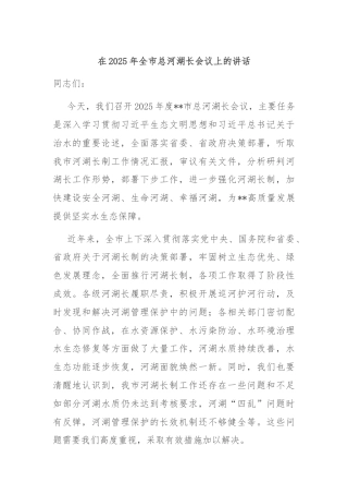 在2025年全市总河湖长会议上的讲话