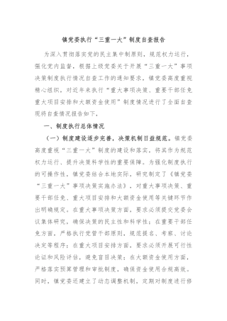 镇党委执行“三重一大”制度自查报告