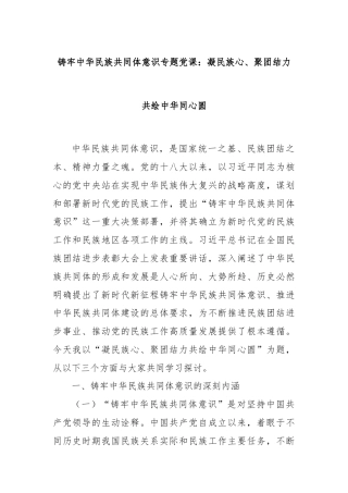 铸牢中华民族共同体意识专题党课：凝民族心、聚团结力共绘中华同心圆