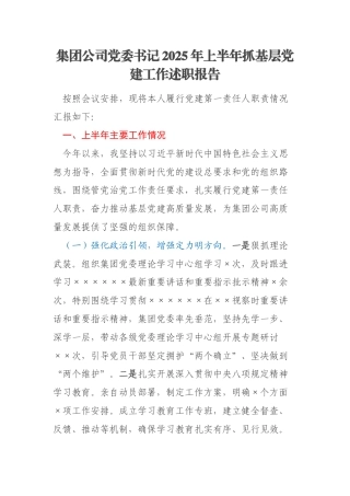 集团公司党委书记2025年上半年抓基层党建工作述职报告