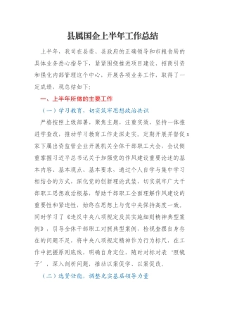 县属国企上半年工作总结