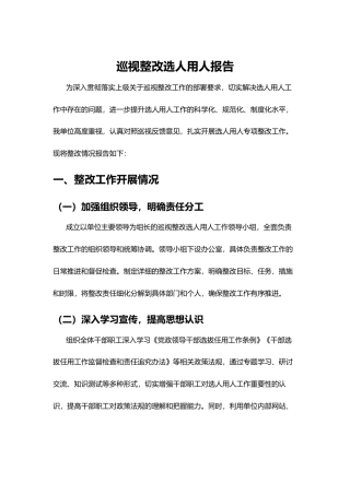 巡视整改选人用人报告