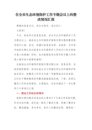 在全市生态环境保护工作专题会议上的整改情况汇报