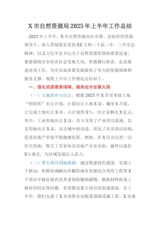 X市自然资源局2025年上半年工作总结