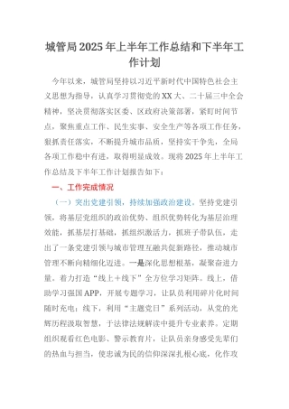 城管局2025年上半年工作总结和下半年工作计划