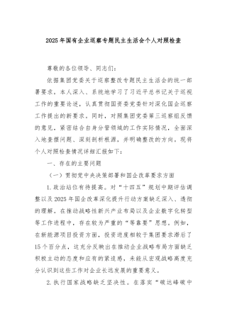 2025年国有企业巡察专题民主生活会个人对照检查