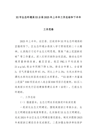 XX市生态环境局XX分局2025年上半年工作总结和下半年工作思路