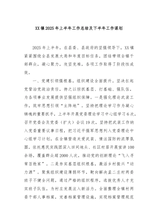 XX镇2025年上半年工作总结及下半年工作谋划