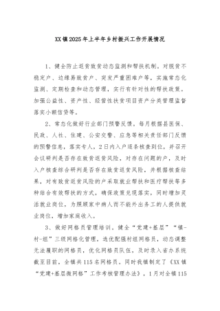 XX镇2025年上半年乡村振兴工作开展情况